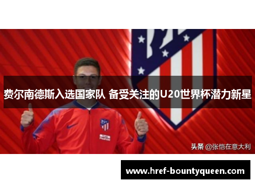 费尔南德斯入选国家队 备受关注的U20世界杯潜力新星