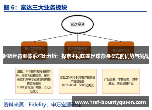 超级杯青训体系对比分析：探索不同国家足球青训模式的优势与挑战